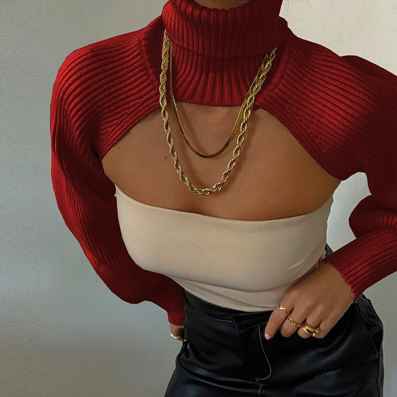 Kint Pullover Turtleneck Sweater